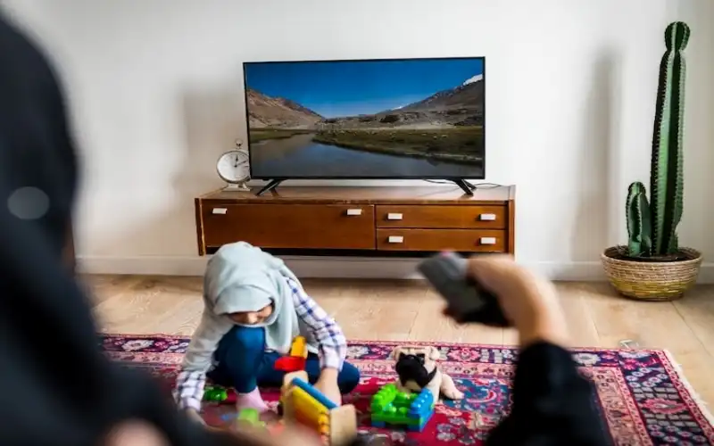 Bursa Nilüfer Gökçe Mh | Arçelik Televizyon Servisi
